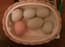 IMG_20180415_213449.jpg