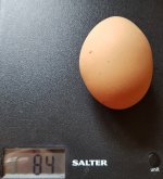 egg1 - Edited.jpg