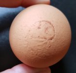 egg2 - Edited.jpg
