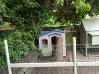 Run and house 2 - Edited.jpg