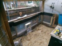 IMG_20181128_154515.jpg