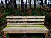 Bench - Edited.jpg