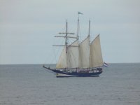 Oosterschelde Topsail Schooner Sunderland 2018.JPG
