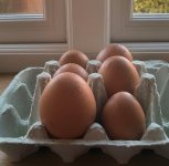sindyseggs.jpg
