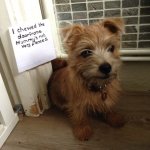 IMG_1452.jpeg