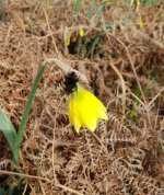 march2020 - Edited.jpg