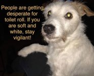 dog - Edited.jpg