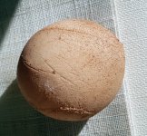 Bigegg1 - Edited.jpg