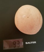 Biggegg93g - Edited.jpg