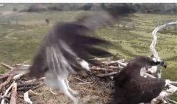 touchdown.jpg