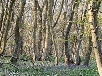 20200407_175113~7.jpg