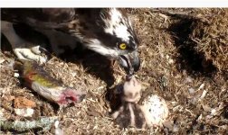 first feed.jpg