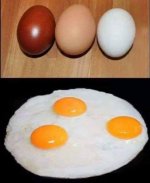 98F22E7A-7D3D-4335-AC6F-45A8EF739AB3.jpeg