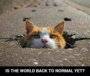 5F438552-E117-4E98-9B7E-D83907A70FD1.jpeg