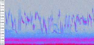 Screenshot from 2020-07-23 12-34-33.png