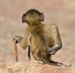 martin-grace_socially-uninhibited_.jpg