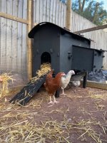 girls-solway-coop.jpg girls-solway-coop.jpg