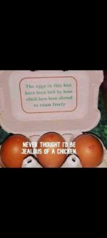 Free range.jpg