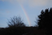 rainbow.jpeg
