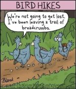 Bird hike.jpg