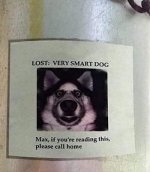 F64C2A00-AADA-43BC-A07B-DD33FE83B047.jpeg