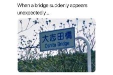 3AC09B25-22E2-477C-87F7-06B98C992116.jpeg