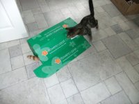 Is that his tail.jpg