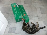 Got his tail anyway.jpg