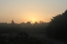 IMG_0001 (9).JPG