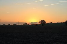 IMG_0006 - Copy.JPG