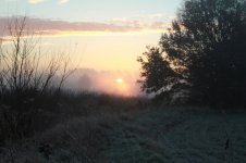 IMG_0004 - Copy.JPG
