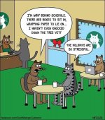 Catmas.jpg