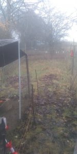 IMG_20211219_121455795.jpg