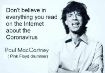 cvirus.jpg