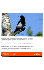 BD9511E3-A826-4C6C-9CED-A1D581540E5B.png