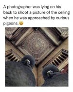 1C9D9AB2-7B8D-47FE-B747-36A38285B462.jpeg