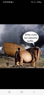 Ark.jpg