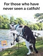 fishing.jpg