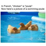 FC9E2B7D-1626-4115-8237-0784366B16FE.jpeg