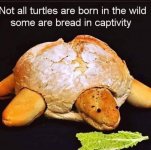 FB_IMG_1680103934992.jpg