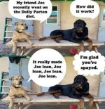FB_IMG_1681227237308.jpg