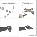 FB_IMG_1681371490084.jpg
