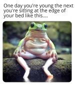 Frog.jpg