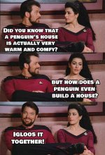 FB_IMG_1682929798282.jpg