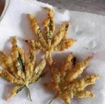 marijuana.jpg
