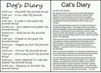 diary.jpg