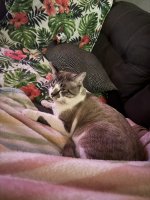 IMG_1606.jpeg