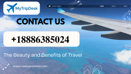 Blue and White Gradient Playful Modern Sky Doodle Illustrative Exploring The World Travel Agen...png